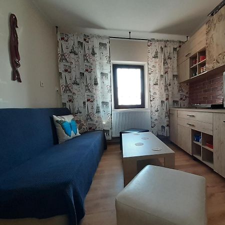 Apartament Cristina Cu Doua Dormitoare & Balcon & Parcare Proprie โอเนชต์ ภายนอก รูปภาพ